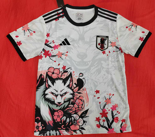 25-26 Japan Cheap Soccer Jerseys 