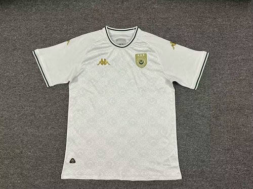25-26 Tunisia Special Cheap Soccer Jerseys 